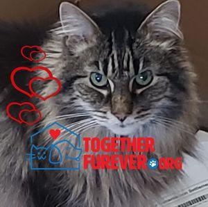 Meet your Posher, Sally